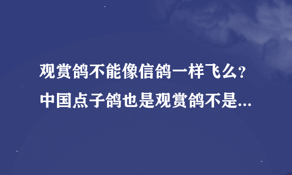 观赏鸽不能像信鸽一样飞么？中国点子鸽也是观赏鸽不是很能飞啊