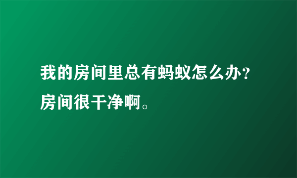 我的房间里总有蚂蚁怎么办？房间很干净啊。