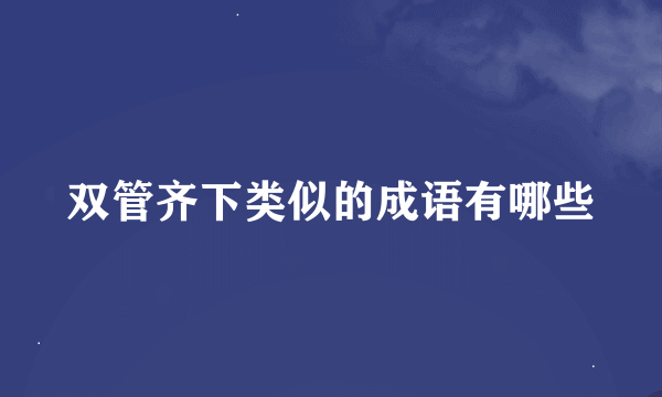 双管齐下类似的成语有哪些