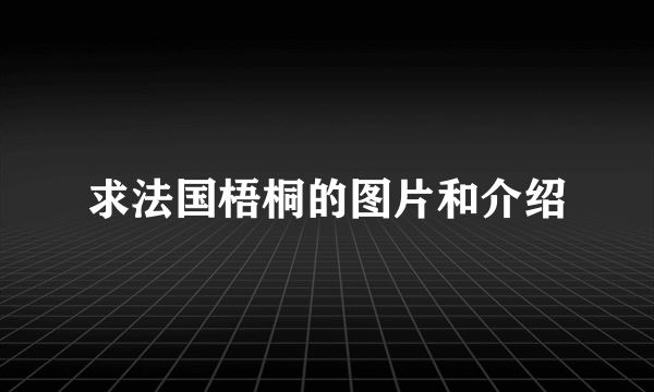 求法国梧桐的图片和介绍