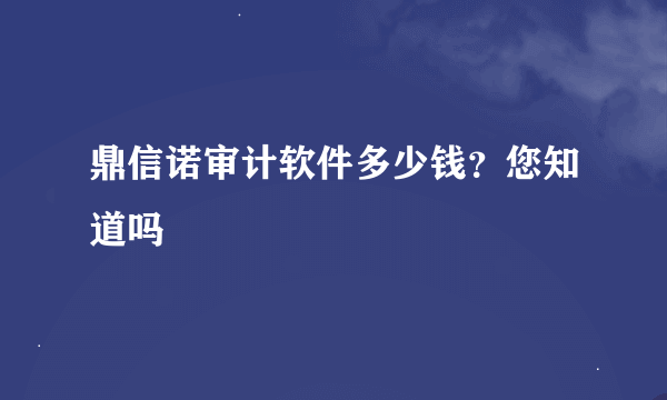 鼎信诺审计软件多少钱？您知道吗