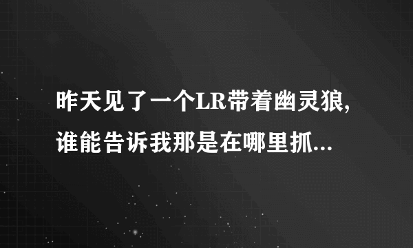 昨天见了一个LR带着幽灵狼,谁能告诉我那是在哪里抓的！！！