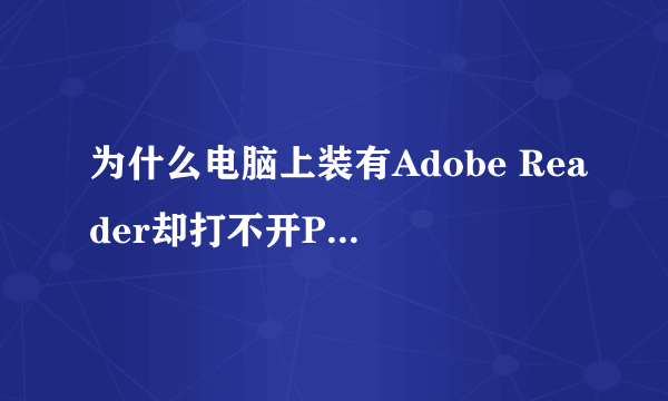 为什么电脑上装有Adobe Reader却打不开PDF格式的文件