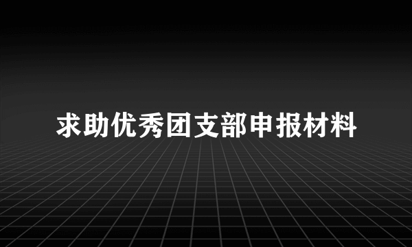 求助优秀团支部申报材料