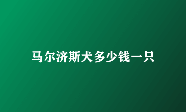 马尔济斯犬多少钱一只