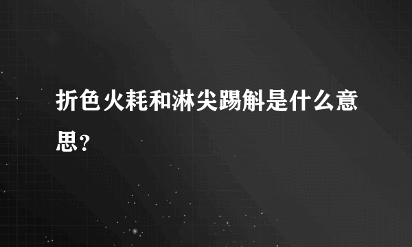 折色火耗和淋尖踢斛是什么意思？