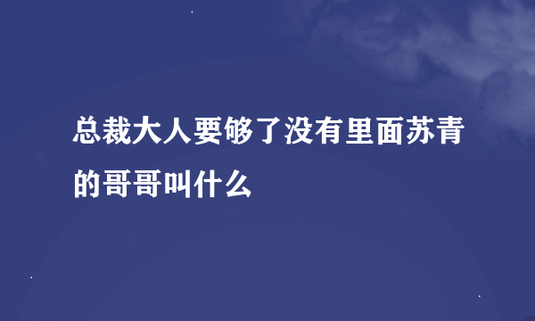 总裁大人要够了没有里面苏青的哥哥叫什么