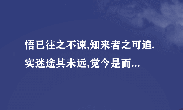 悟已往之不谏,知来者之可追.实迷途其未远,觉今是而昨非 求翻译成英文