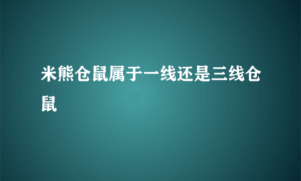 米熊仓鼠属于一线还是三线仓鼠