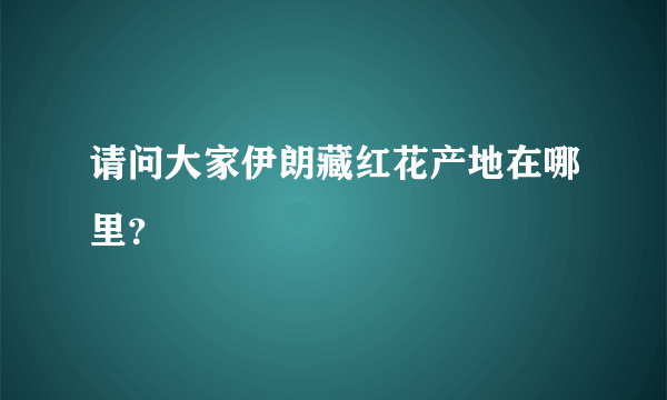 请问大家伊朗藏红花产地在哪里？