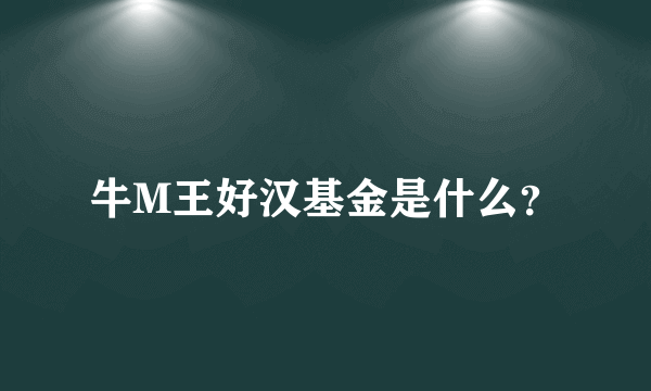 牛M王好汉基金是什么？