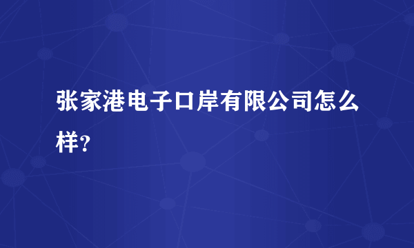 张家港电子口岸有限公司怎么样？