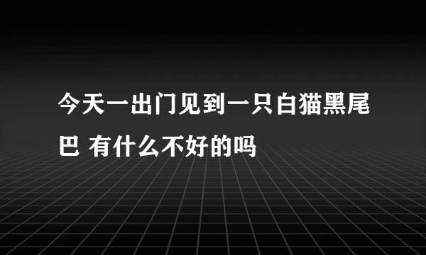 今天一出门见到一只白猫黑尾巴 有什么不好的吗