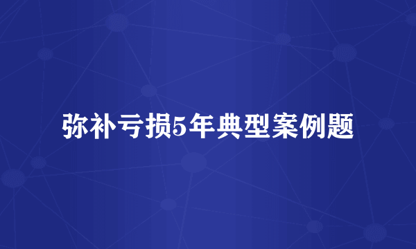 弥补亏损5年典型案例题