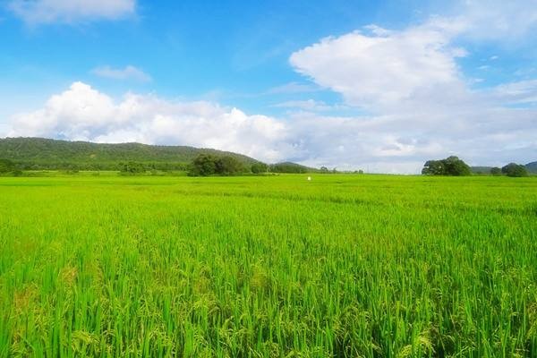 世界上“有效国土”面积最大的国家，为什么是位于北美洲的美国？