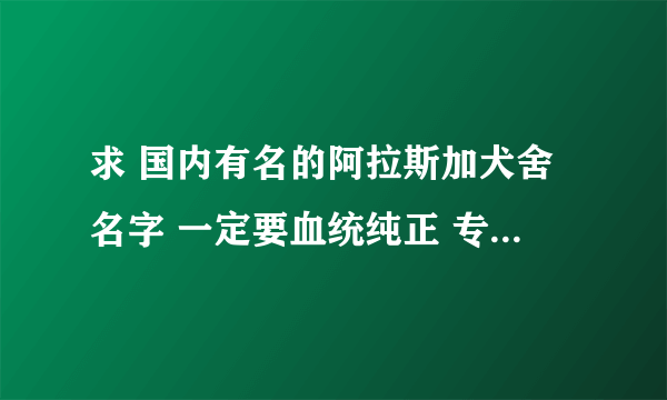 求 国内有名的阿拉斯加犬舍名字 一定要血统纯正 专业做阿拉斯加的 谢谢了