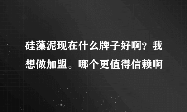 硅藻泥现在什么牌子好啊？我想做加盟。哪个更值得信赖啊