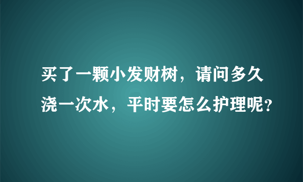 买了一颗小发财树，请问多久浇一次水，平时要怎么护理呢？