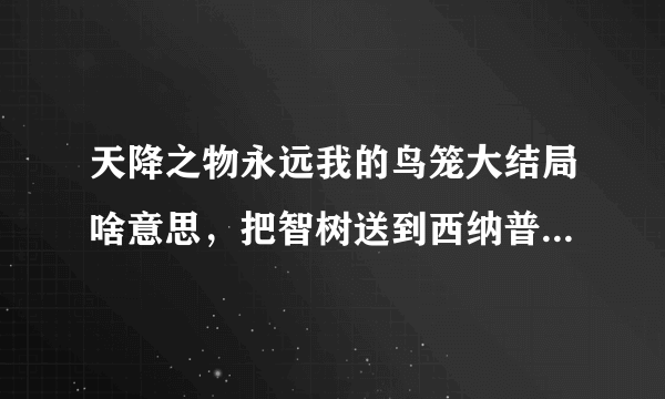 天降之物永远我的鸟笼大结局啥意思，把智树送到西纳普斯，就完事了