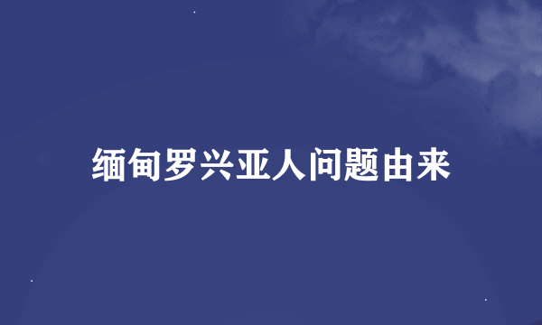 缅甸罗兴亚人问题由来