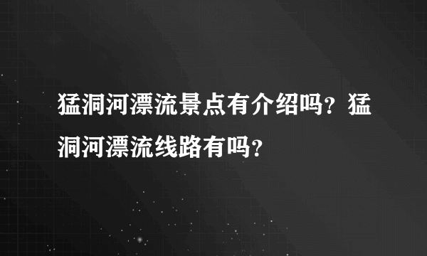 猛洞河漂流景点有介绍吗？猛洞河漂流线路有吗？