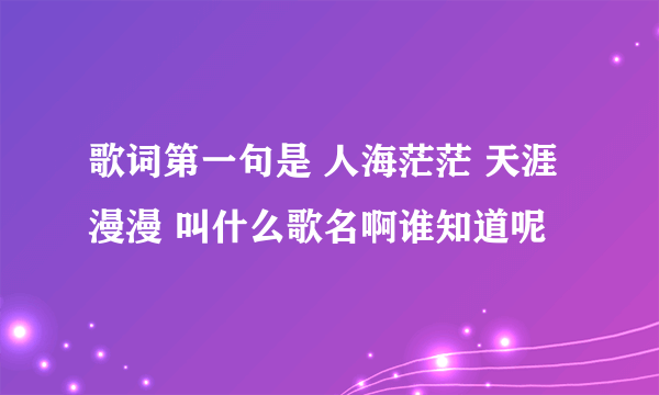 歌词第一句是 人海茫茫 天涯漫漫 叫什么歌名啊谁知道呢