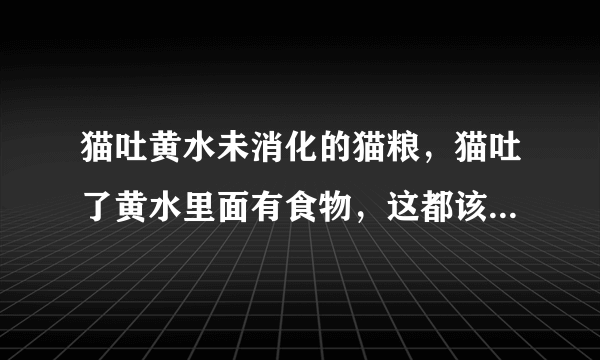 猫吐黄水未消化的猫粮，猫吐了黄水里面有食物，这都该怎么办才好？