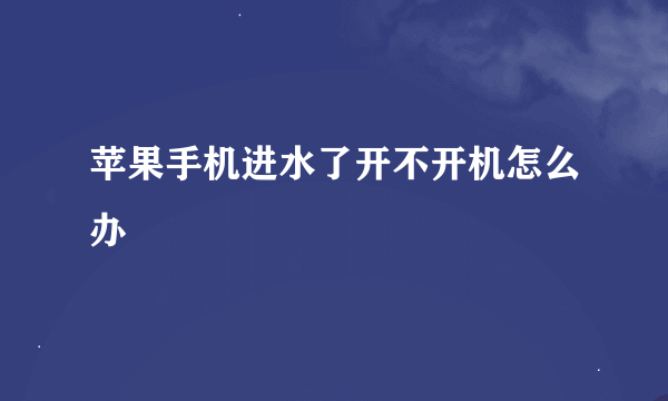 苹果手机进水了开不开机怎么办