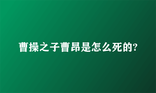 曹操之子曹昂是怎么死的?