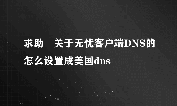 求助 关于无忧客户端DNS的怎么设置成美国dns