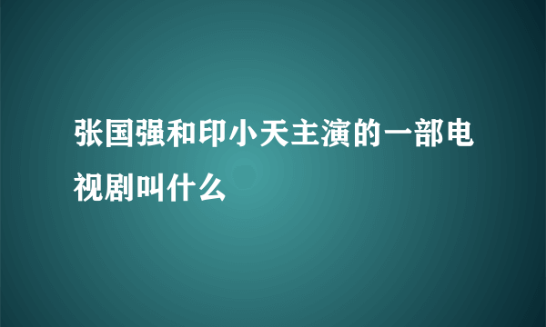 张国强和印小天主演的一部电视剧叫什么