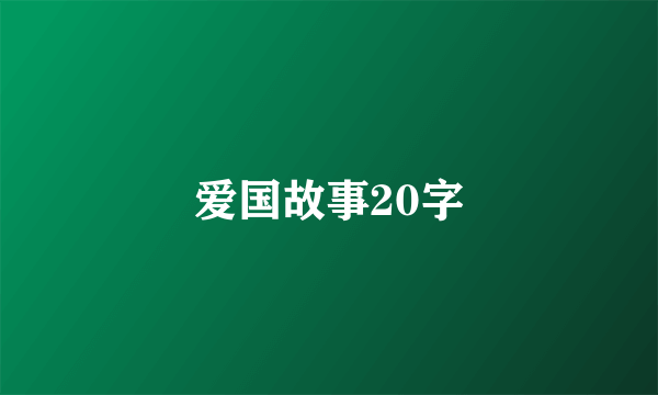 爱国故事20字