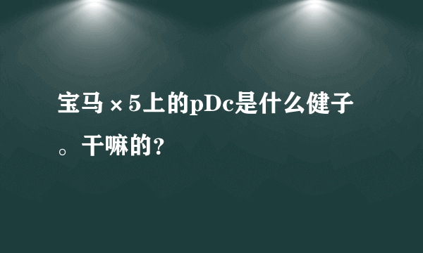 宝马×5上的pDc是什么健子。干嘛的？