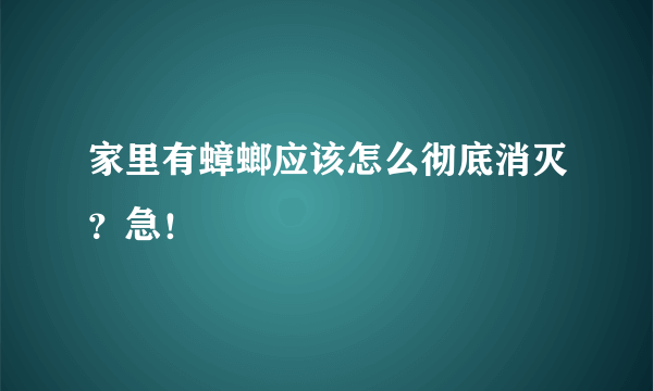 家里有蟑螂应该怎么彻底消灭？急！