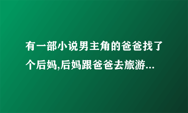 有一部小说男主角的爸爸找了个后妈,后妈跟爸爸去旅游了，后妈的女儿跟男主角见面几天觉得很合适就结婚了。