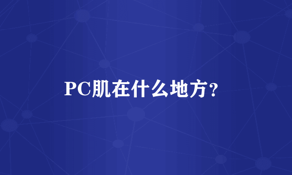 PC肌在什么地方？