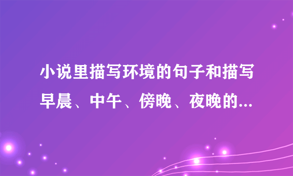 小说里描写环境的句子和描写早晨、中午、傍晚、夜晚的唯美句子有哪些？