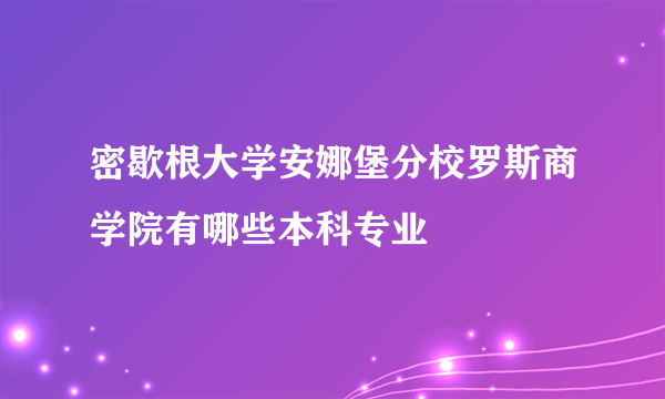 密歇根大学安娜堡分校罗斯商学院有哪些本科专业