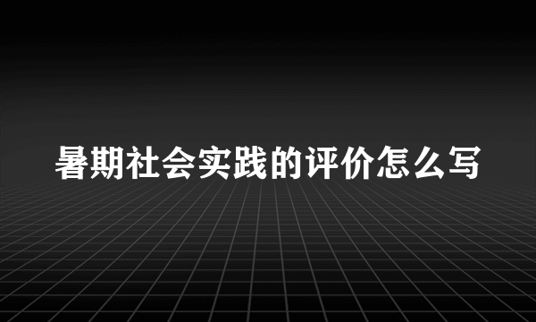 暑期社会实践的评价怎么写