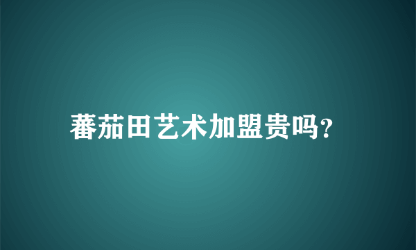 蕃茄田艺术加盟贵吗？