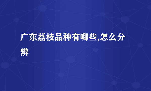 广东荔枝品种有哪些,怎么分辨