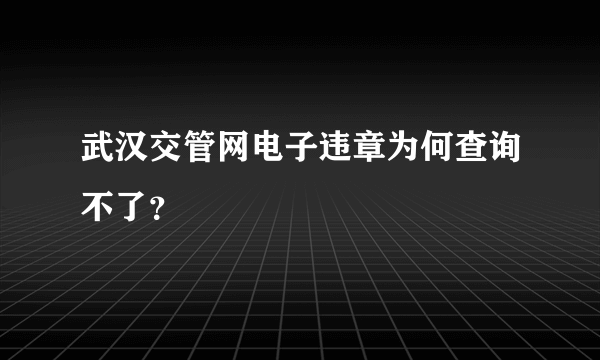 武汉交管网电子违章为何查询不了？