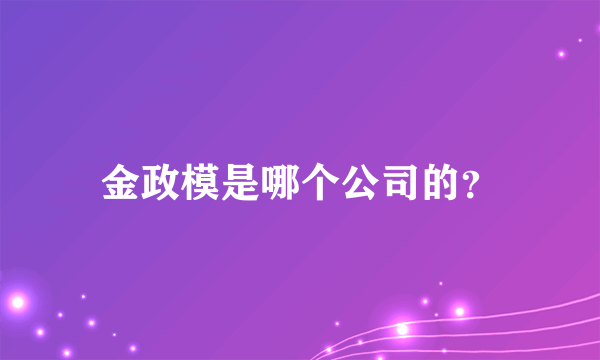 金政模是哪个公司的？