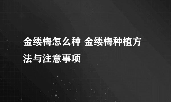 金缕梅怎么种 金缕梅种植方法与注意事项