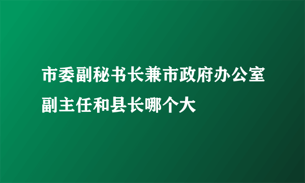 市委副秘书长兼市政府办公室副主任和县长哪个大