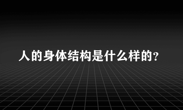 人的身体结构是什么样的？