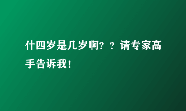 什四岁是几岁啊？？请专家高手告诉我！