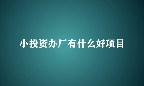 小投资办厂有什么好项目