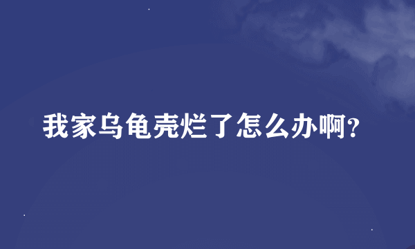 我家乌龟壳烂了怎么办啊？