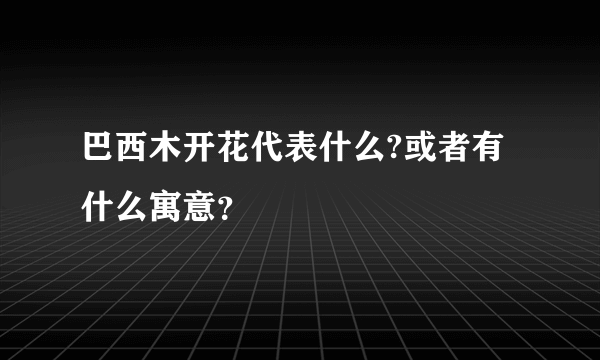 巴西木开花代表什么?或者有什么寓意？